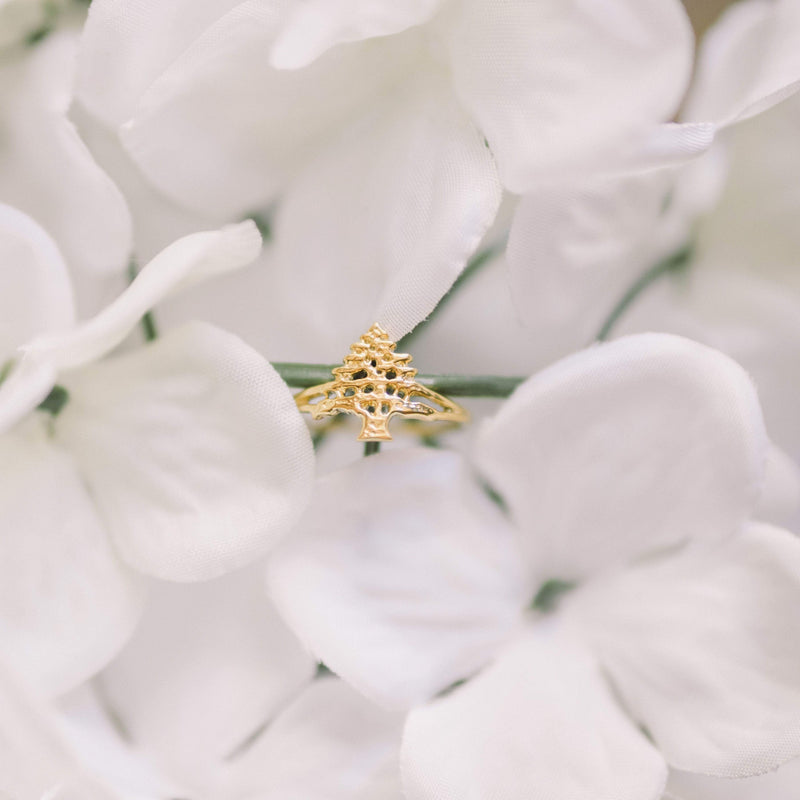 Cedar of Lebanon Ring